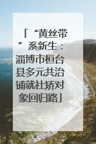 “黄丝带”系新生：淄博市桓台县多元共治铺就社矫对象回归路