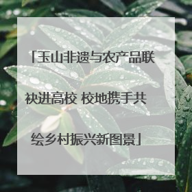 玉山非遗与农产品联袂进高校 校地携手共绘乡村振兴新图景
