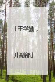 王学勤，升副部