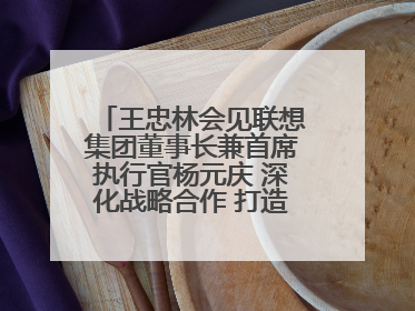 王忠林会见联想集团董事长兼首席执行官杨元庆 深化战略合作 打造世界级光电子信息产业集群