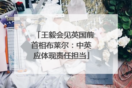 王毅会见英国前首相布莱尔：中英应体现责任担当