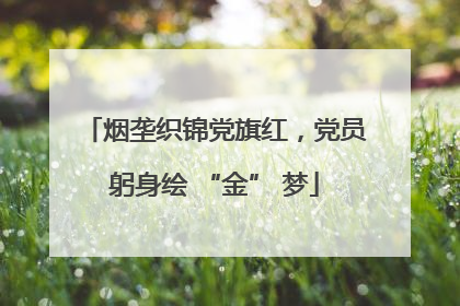 烟垄织锦党旗红,党员躬身绘 “金” 梦