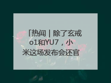 热闻｜除了玄戒o1和YU7，小米这场发布会还官宣了这些新品