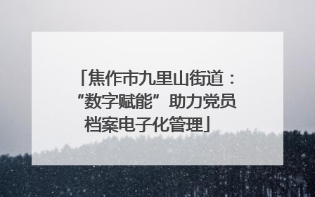 焦作市九里山街道：“数字赋能”助力党员档案电子化管理