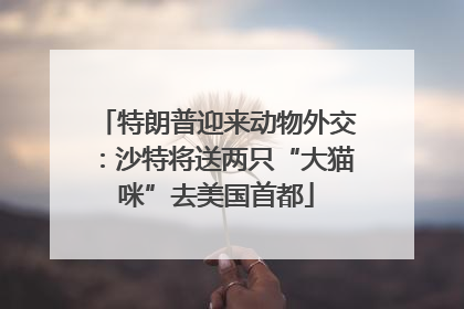 特朗普迎来动物外交：沙特将送两只“大猫咪”去美国首都