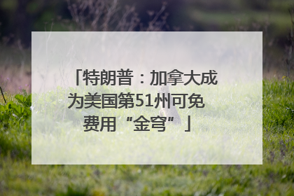 特朗普：加拿大成为美国第51州可免费用“金穹”
