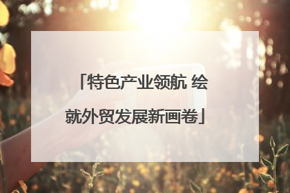 特色产业领航 绘就外贸发展新画卷