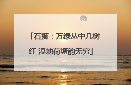 石狮：万绿丛中几树红 湿地荷塘韵无穷