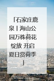 石家庄鹿泉丨海山公园万株荷花绽放 开启夏日赏荷季