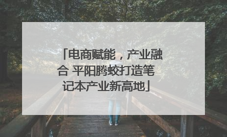 电商赋能，产业融合 平阳腾蛟打造笔记本产业新高地