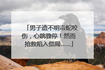 男子遭不明毒蛇咬伤，心跳骤停！然而抢救陷入僵局……