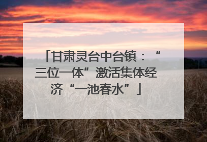 甘肃灵台中台镇：“三位一体”激活集体经济“一池春水”