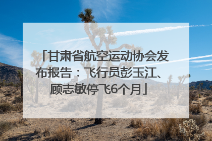 甘肃省航空运动协会发布报告：飞行员彭玉江、顾志敏停飞6个月