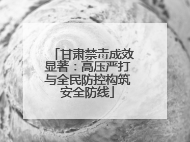 甘肃禁毒成效显著：高压严打与全民防控构筑安全防线