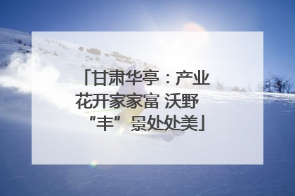 甘肃华亭：产业花开家家富 沃野“丰”景处处美