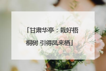 甘肃华亭：栽好梧桐树 引得凤来栖