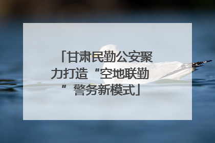甘肃民勤公安聚力打造“空地联勤”警务新模式