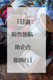 甘肃：税务领航 助企合规前行