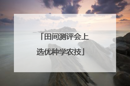 田间测评会上选优种学农技