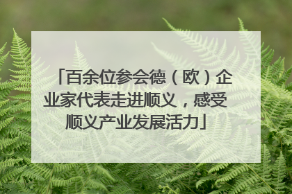 百余位参会德（欧）企业家代表走进顺义，感受顺义产业发展活力