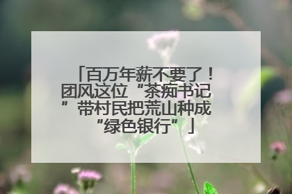 百万年薪不要了！团风这位“茶痴书记”带村民把荒山种成“绿色银行”