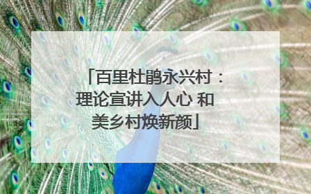 百里杜鹃永兴村：理论宣讲入人心 和美乡村焕新颜