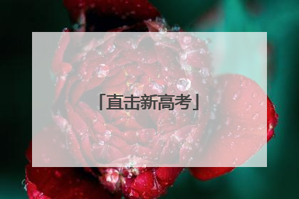 直击新高考