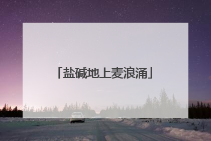 盐碱地上麦浪涌
