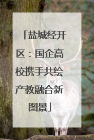 盐城经开区：国企高校携手共绘产教融合新图景