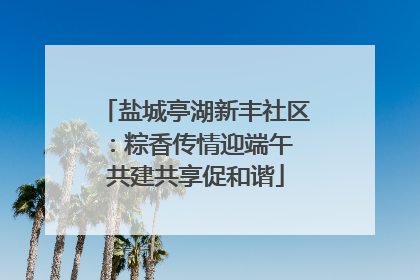 盐城亭湖新丰社区：粽香传情迎端午 共建共享促和谐