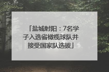 盐城射阳：7名学子入选省橄榄球队并接受国家队选拔