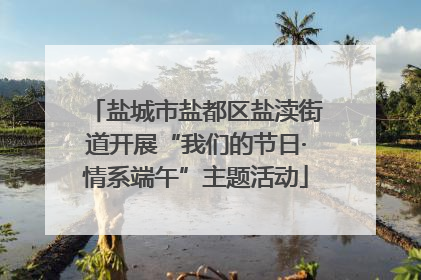 盐城市盐都区盐渎街道开展“我们的节日·情系端午”主题活动