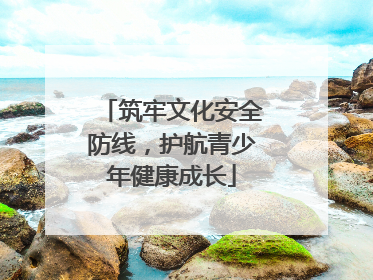 筑牢文化安全防线，护航青少年健康成长