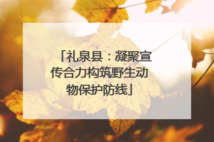礼泉县：凝聚宣传合力构筑野生动物保护防线