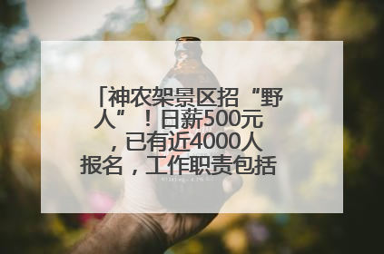 神农架景区招“野人”！日薪500元，已有近4000人报名，工作职责包括“接受游客投喂”