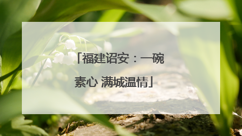 福建诏安：一碗素心 满城温情