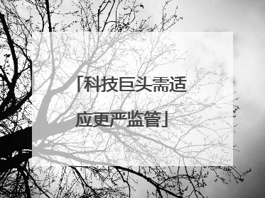 科技巨头需适应更严监管