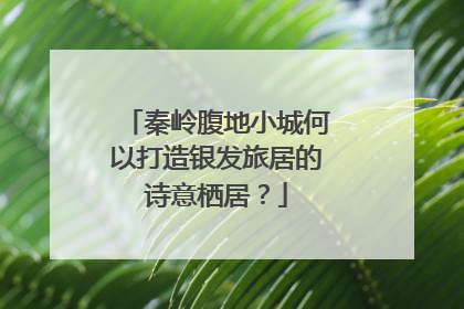 秦岭腹地小城何以打造银发旅居的诗意栖居？