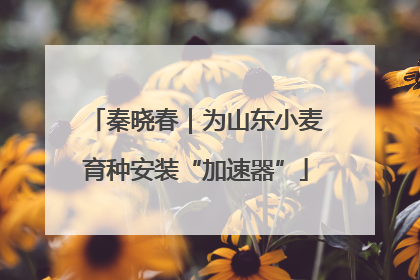 秦晓春｜为山东小麦育种安装“加速器”