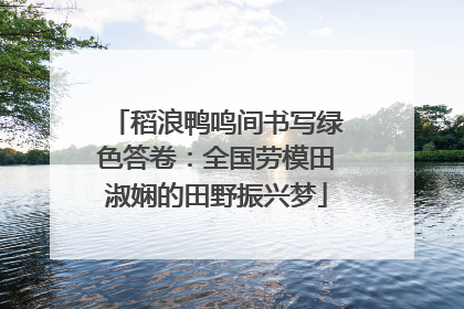 稻浪鸭鸣间书写绿色答卷：全国劳模田淑娴的田野振兴梦