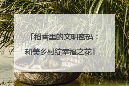 稻香里的文明密码：和美乡村绽幸福之花
