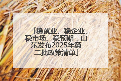 稳就业、稳企业、稳市场、稳预期，山东发布2025年第二批政策清单