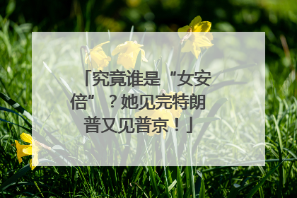 究竟谁是“女安倍”？她见完特朗普又见普京！
