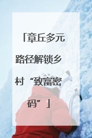 章丘多元路径解锁乡村“致富密码”