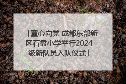 童心向党 成都东部新区石盘小学举行2024级新队员入队仪式