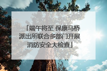端午将至 保康马桥派出所联合多部门开展消防安全大检查