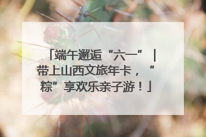 端午邂逅“六一”｜带上山西文旅年卡，“粽”享欢乐亲子游！