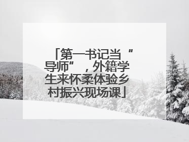 第一书记当“导师”，外籍学生来怀柔体验乡村振兴现场课