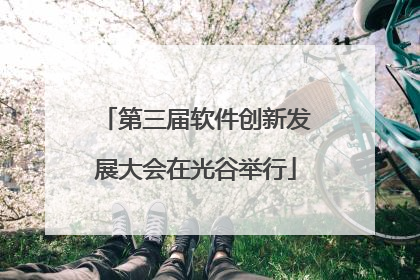第三届软件创新发展大会在光谷举行