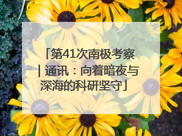 第41次南极考察｜通讯：向着暗夜与深海的科研坚守